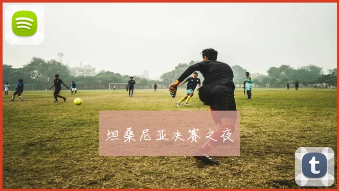坦桑尼亚决赛之夜