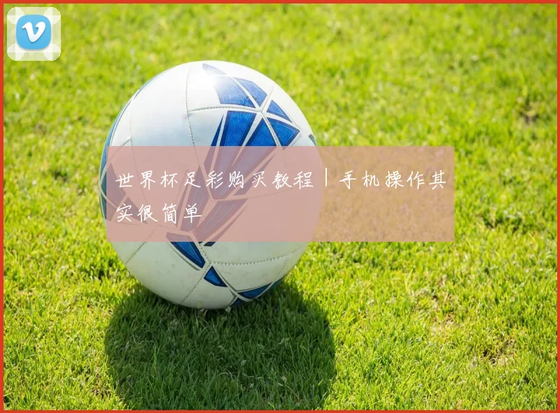 世界杯足彩购买教程｜手机操作其实很简单